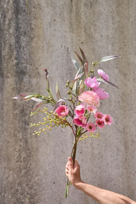 Hovedbilde Krysantemum 50cm