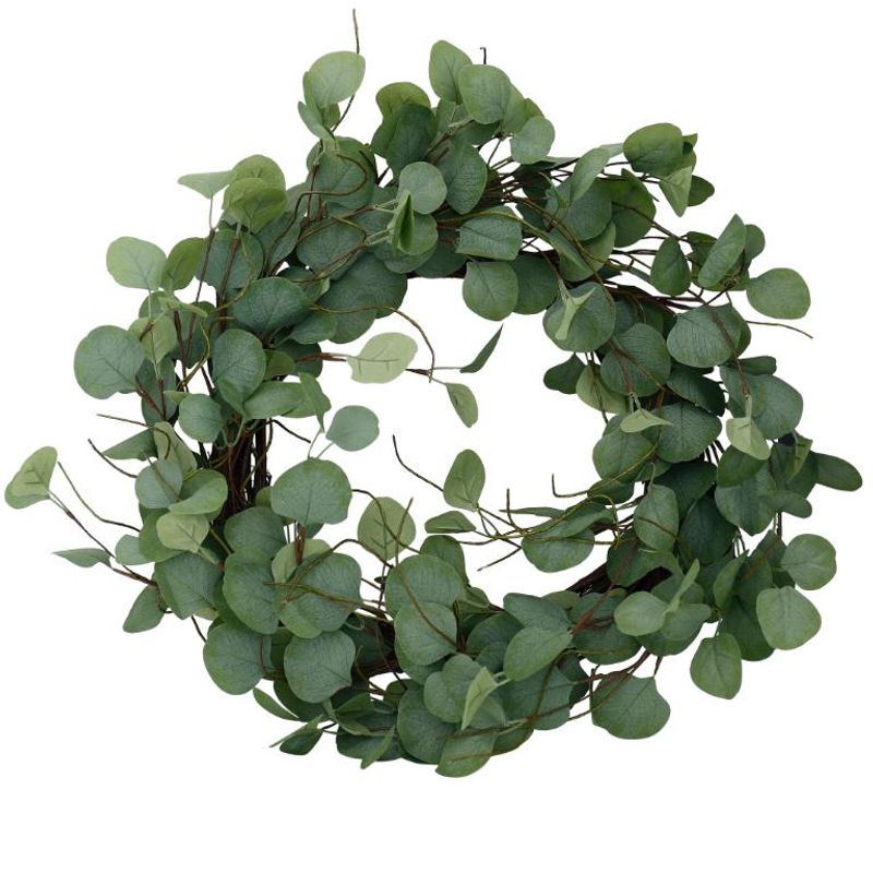 Eucalyptus krans