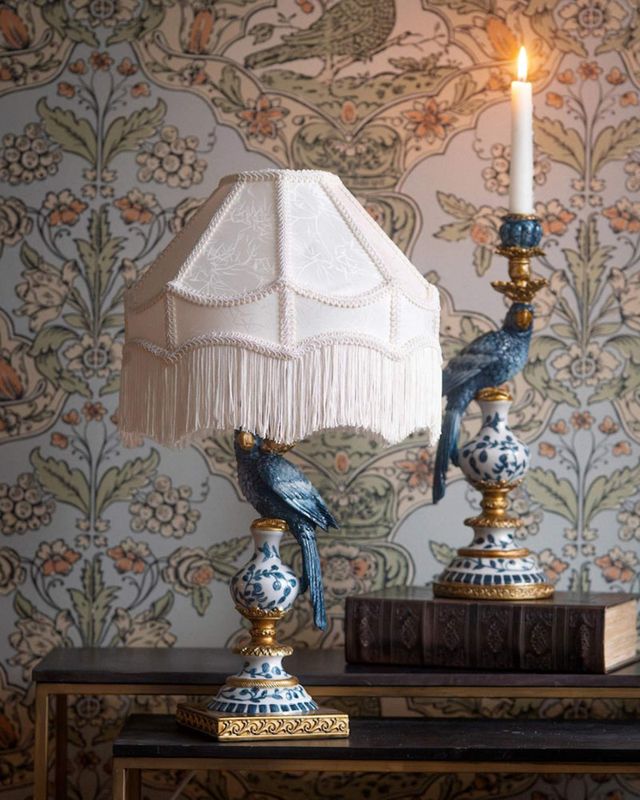 Lampefot papegøye Blå