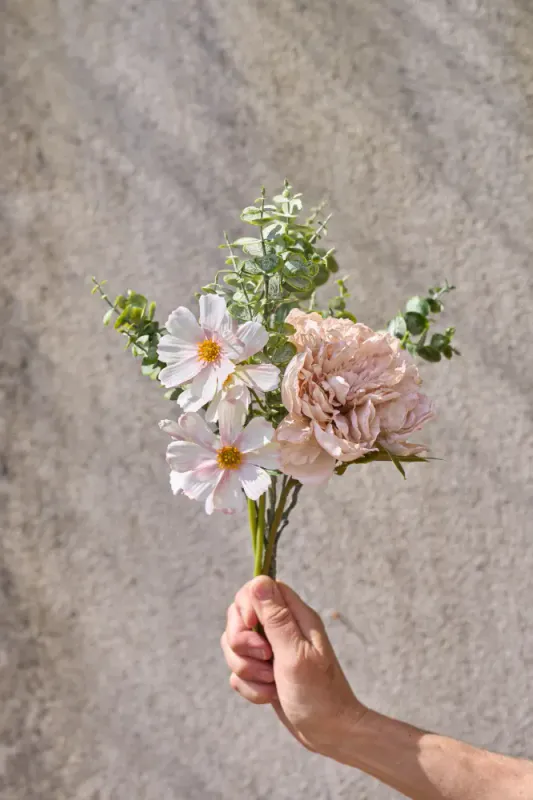Cosmos på stilk 45cm