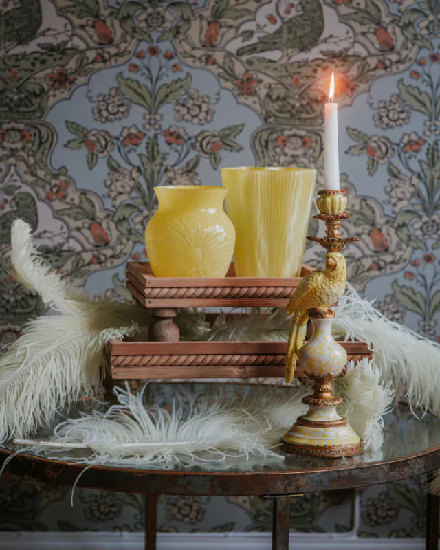 Lysestake papegøye Gul