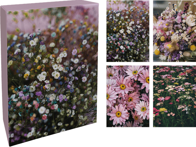 Hovedbilde Kortboks - Small Beauties