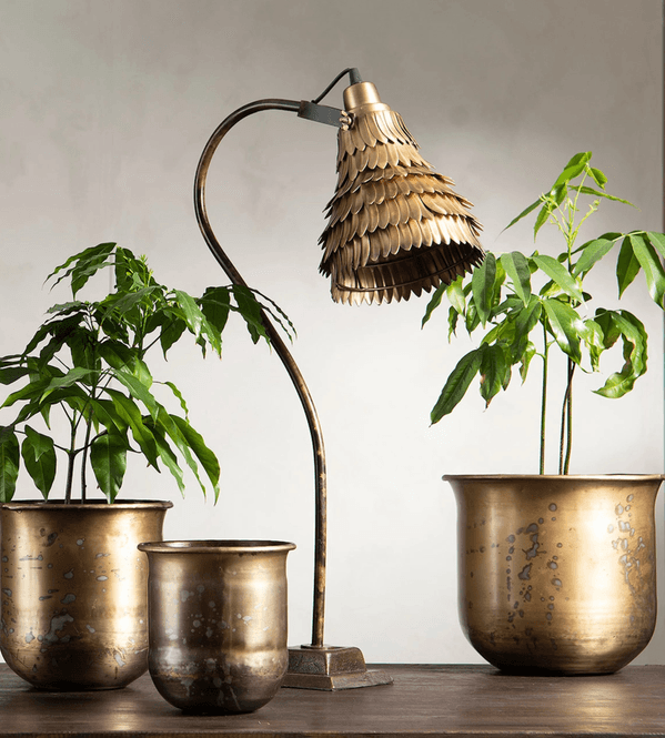 Hovedbilde Bordlampe Vilda Antikk messing